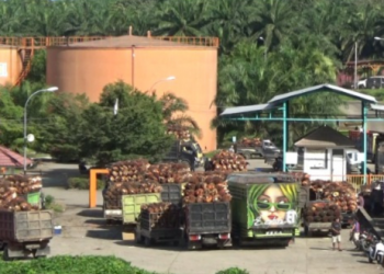 Pabrik CPO di Mukomuko Tetap Beroperasi saat Tahun Baru, Libur saat Natal