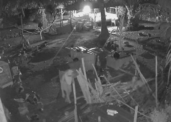 Ada Ninja di Bengkulu Terekam CCTV Sedang Mencuri 25 Ekor Bebek Jantan