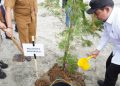 Mitigasi Bencana, Walikota Bengkulu Tanam Cemara