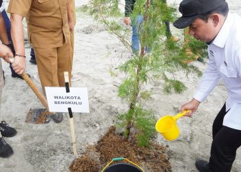 Mitigasi Bencana, Walikota Bengkulu Tanam Cemara