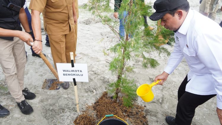Mitigasi Bencana, Walikota Bengkulu Tanam Cemara