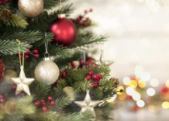 Tema dan Subtema untuk Perayaan Natal 2025, Penuh Makna dan Sukacita