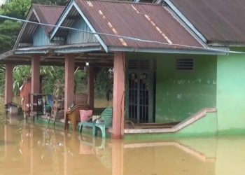 Ratusan Rumah Di Kecamatan Karang Tinggi Bengkulu Tengah Terendam Banjir