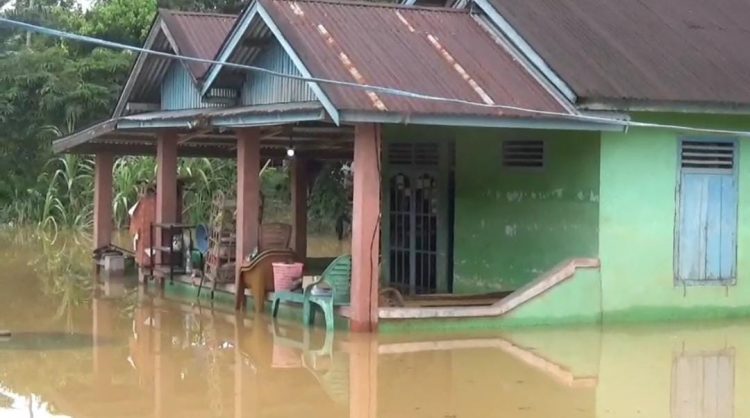Ratusan Rumah Di Kecamatan Karang Tinggi Bengkulu Tengah Terendam Banjir
