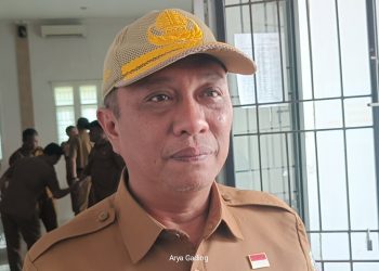 3 Kriteria Penerimaan Tenaga Kontrak di Pemkab Seluma