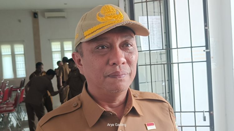3 Kriteria Penerimaan Tenaga Kontrak di Pemkab Seluma
