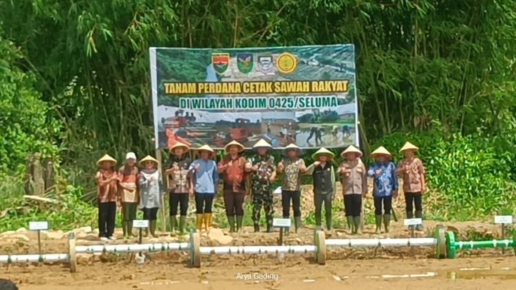 Kodim 0425/Seluma Tanam Padi Perdana Cetak Sawah di Ulu Talo