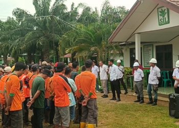 Ratusan Karyawan Pemanen TBS Kelapa Sawit PT SIL II Seluma Mogok Kerja