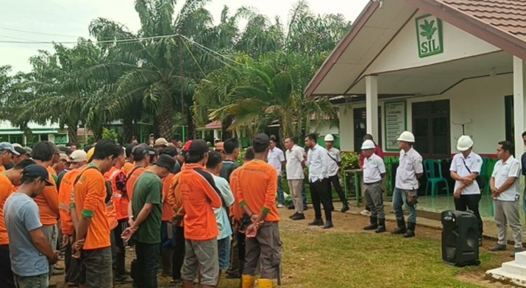 Ratusan Karyawan Pemanen TBS Kelapa Sawit PT SIL II Seluma Mogok Kerja