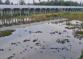 Pelajar SD Tenggelam Saat Cari Ikan di Bawah Jembatan Elevated Danau Dendam Bengkulu