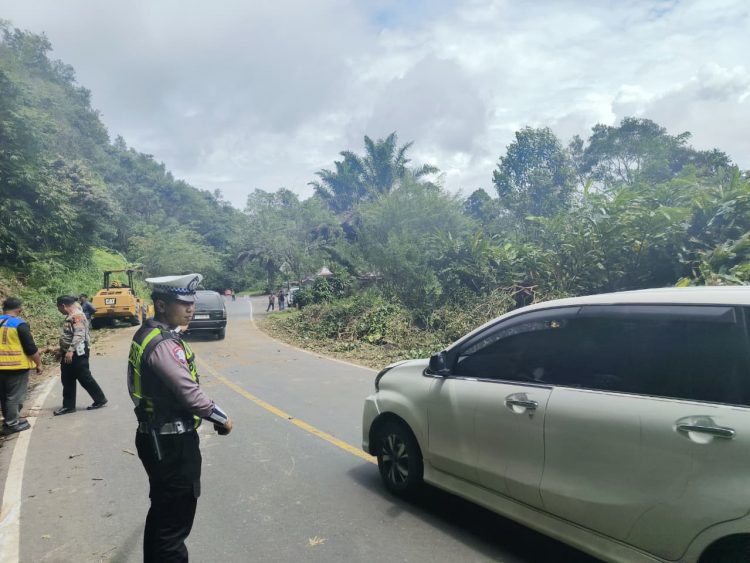 7 Hari ke Depan BKSDA Pangkas Pohon Rawan Tumbang di Jalur Liku 9