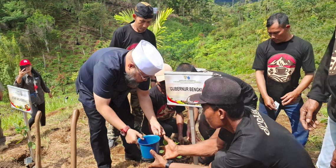 Gubernur Bengkulu Helmi Hasan Launching Penanaman Bibit Kopi Merah Putih di Lebong