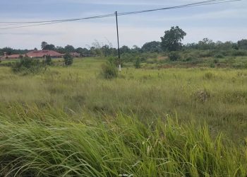 Lokasi Pembangunan 200 Unit Rumah Subsidi Tipe 36 untuk ASN Pemkab Seluma, Cek Kategori yang Dapat