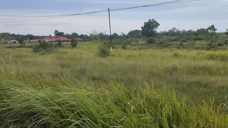 Lokasi Pembangunan 200 Unit Rumah Subsidi Tipe 36 untuk ASN Pemkab Seluma, Cek Kategori yang Dapat