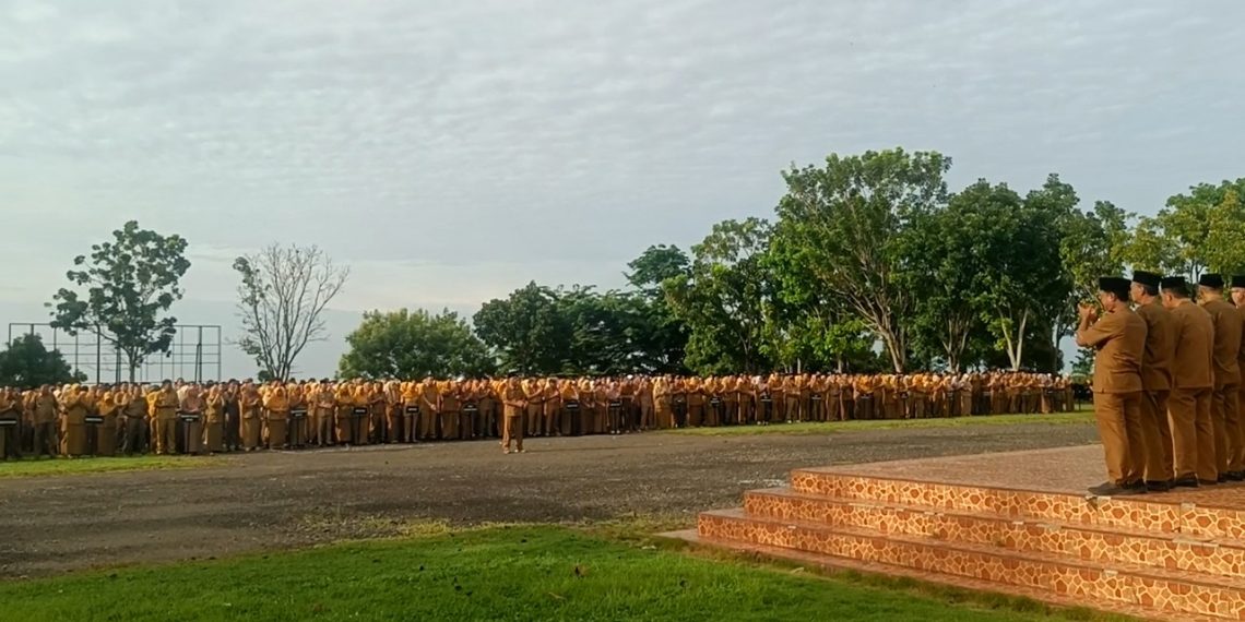 PPPK Gigit Jari: TPP 3.743 ASN Pemkab Seluma Cair di Bulan Ramadan 2026