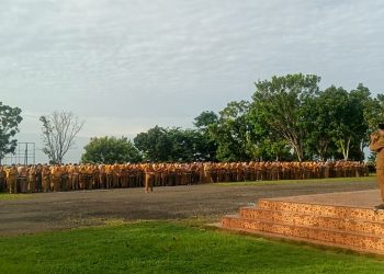 PPPK Gigit Jari: TPP 3.743 ASN Pemkab Seluma Cair di Bulan Ramadan 2026