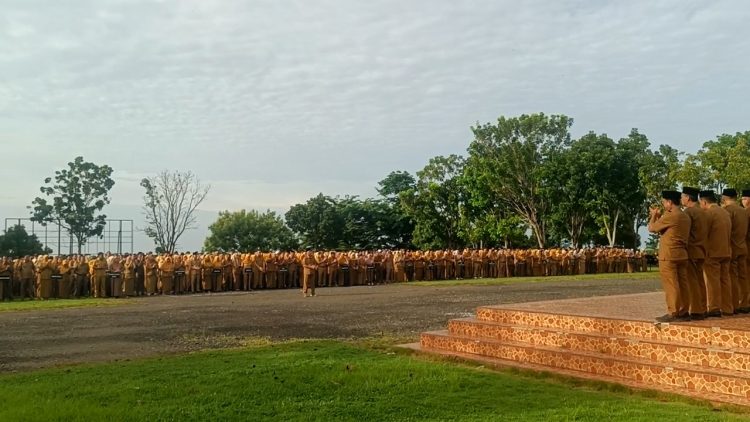 PPPK Gigit Jari: TPP 3.743 ASN Pemkab Seluma Cair di Bulan Ramadan 2026