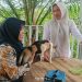 Dinas Pertanian Seluma Vaksinasi 2.080 Hewan Penular Rabies, Mayoritas Didominasi Kucing