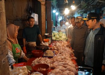 Temuan Hasil Sidak Pemprov Bengkulu dan Satgas Pangan ke Pasar Minggu, Harga Ayam Potong Gurih