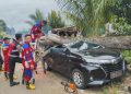 Mobil Operasional PT. PLN Bengkulu Ringsek Dihantam Pohon Mahoni Tumbang