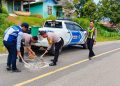 Jalinbar Rusak Parah, Satlantas Polres Seluma Cor Lubang Jalan