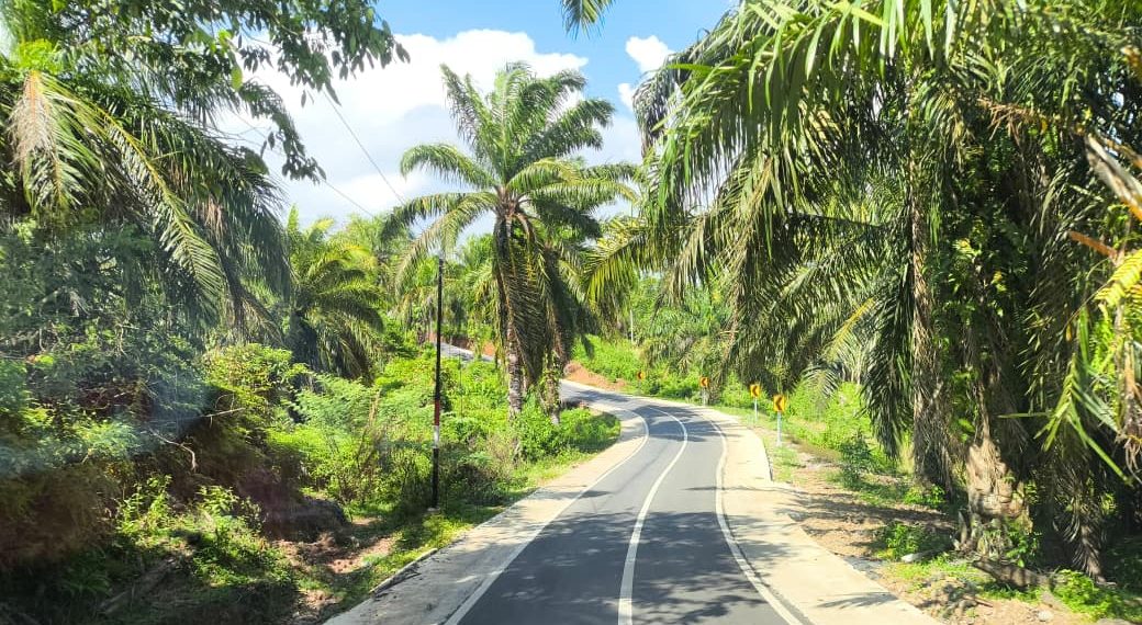 Gubernur Helmi Hasan Tinjau Lokasi Pembangunan Infrastruktur di Bengkulu Tengah Senilai Rp158 Miliar 