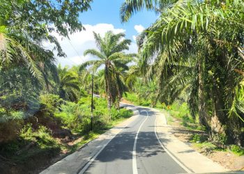 Gubernur Helmi Hasan Tinjau Lokasi Pembangunan Infrastruktur di Bengkulu Tengah Senilai Rp158 Miliar 