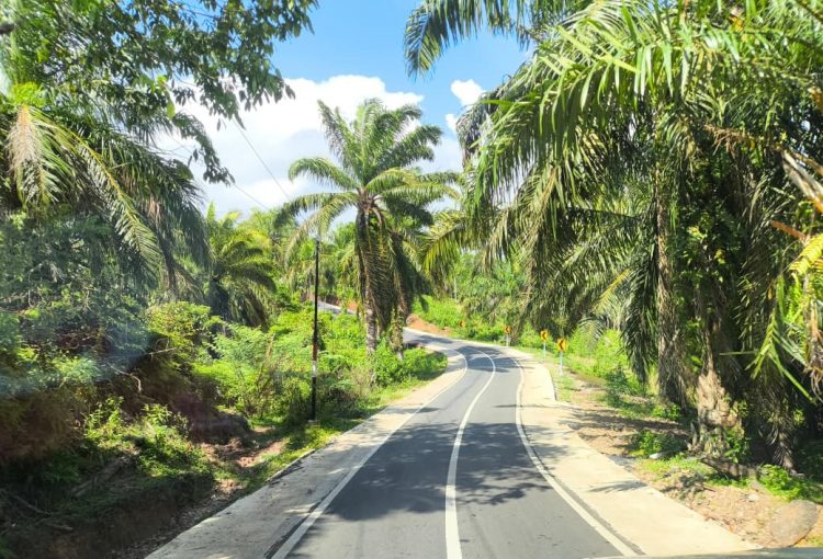 Gubernur Helmi Hasan Tinjau Lokasi Pembangunan Infrastruktur di Bengkulu Tengah Senilai Rp158 Miliar