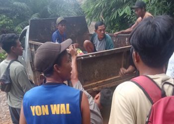 Tukang Ojek di Ulu Talo Seluma Tewas Tertimpa Muatan Kayu