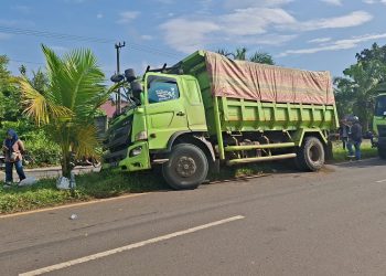 Truk Batu Bara Tabrak Pohon Akibat Elak Motor Tanpa Lampu