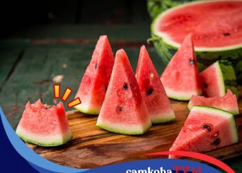 Makan Utuh, Bikin Jus atau Masker, Berikut Manfaat Buah Semangka untuk Kesehatan Wajah