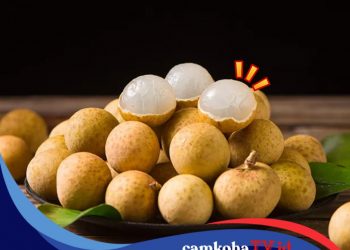 10 Manfaat Kesehatan Dibalik Rasa Manisnya Buah Kelengkeng